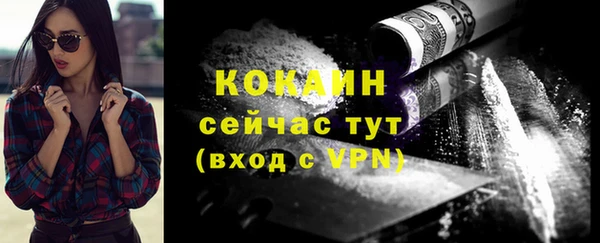 гидра Пересвет