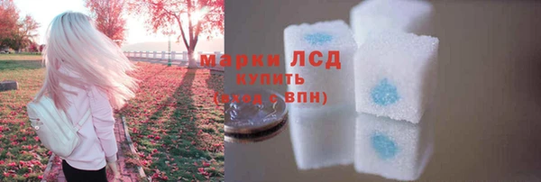 сатива Баксан