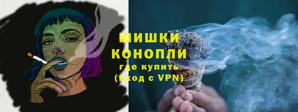 сатива Баксан
