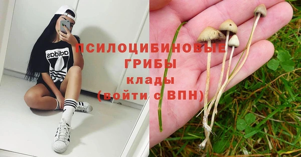 каннабис Балахна