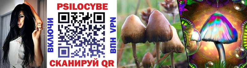 Галлюциногенные грибы Magic Shrooms  Усть-Джегута 